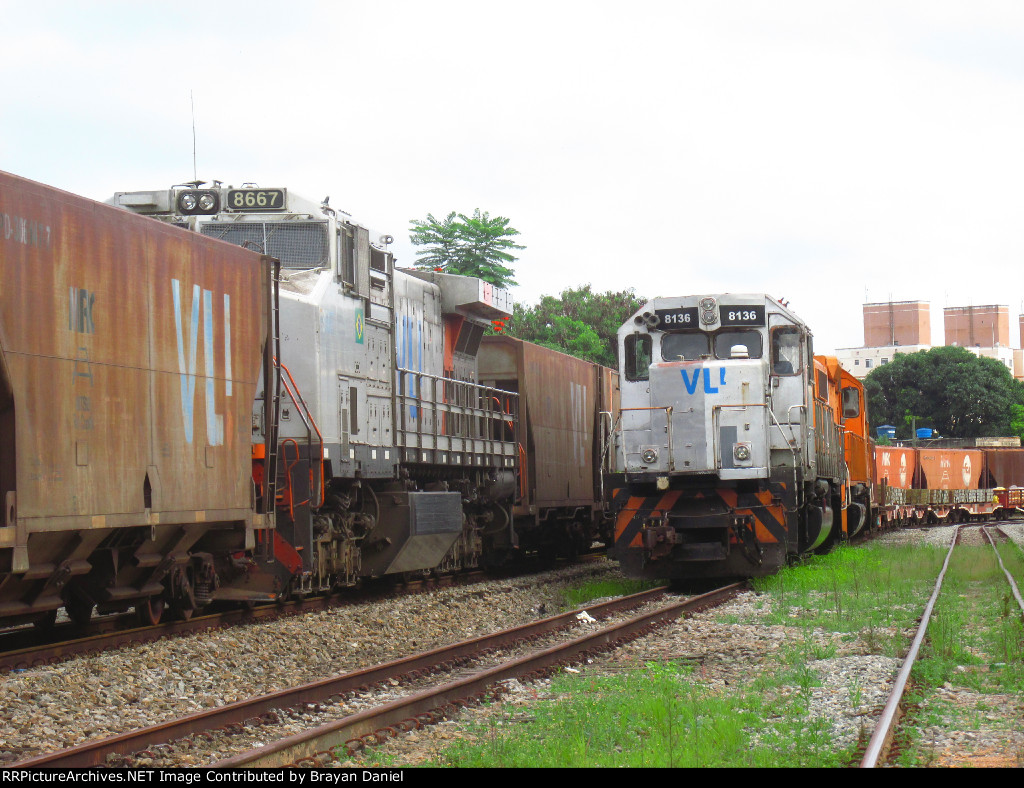VLI 8677